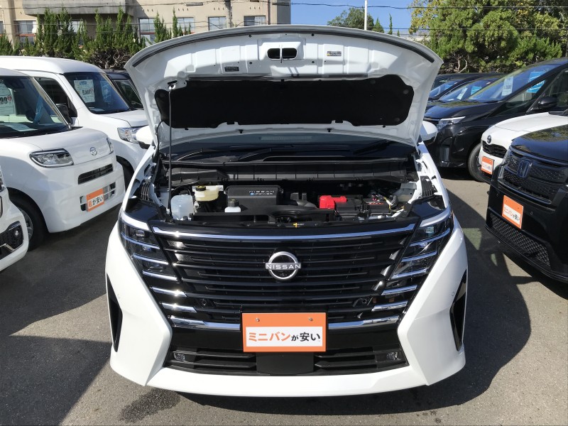 ニッサン セレナ 18枚目