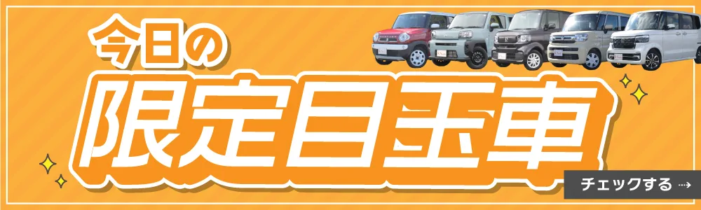 今日の目玉車